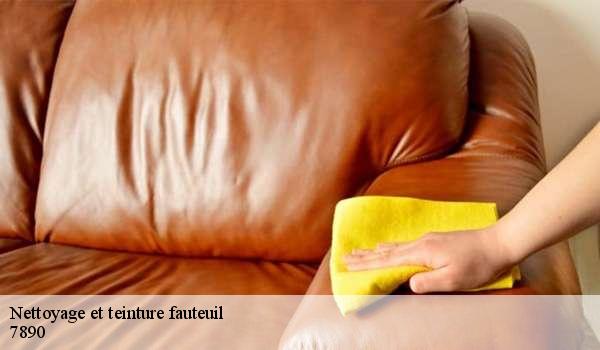 Nettoyage et teinture fauteuil 7890