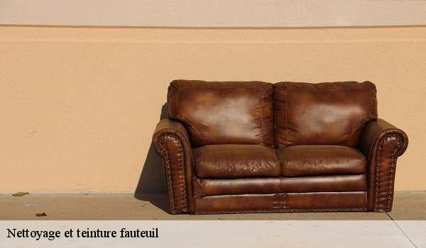 Nettoyage et teinture fauteuil 7890