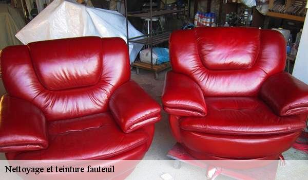 Nettoyage et teinture fauteuil 1370