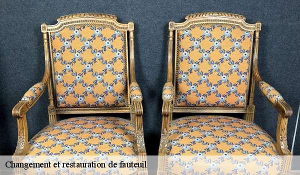 Changement et restauration de fauteuil 6560